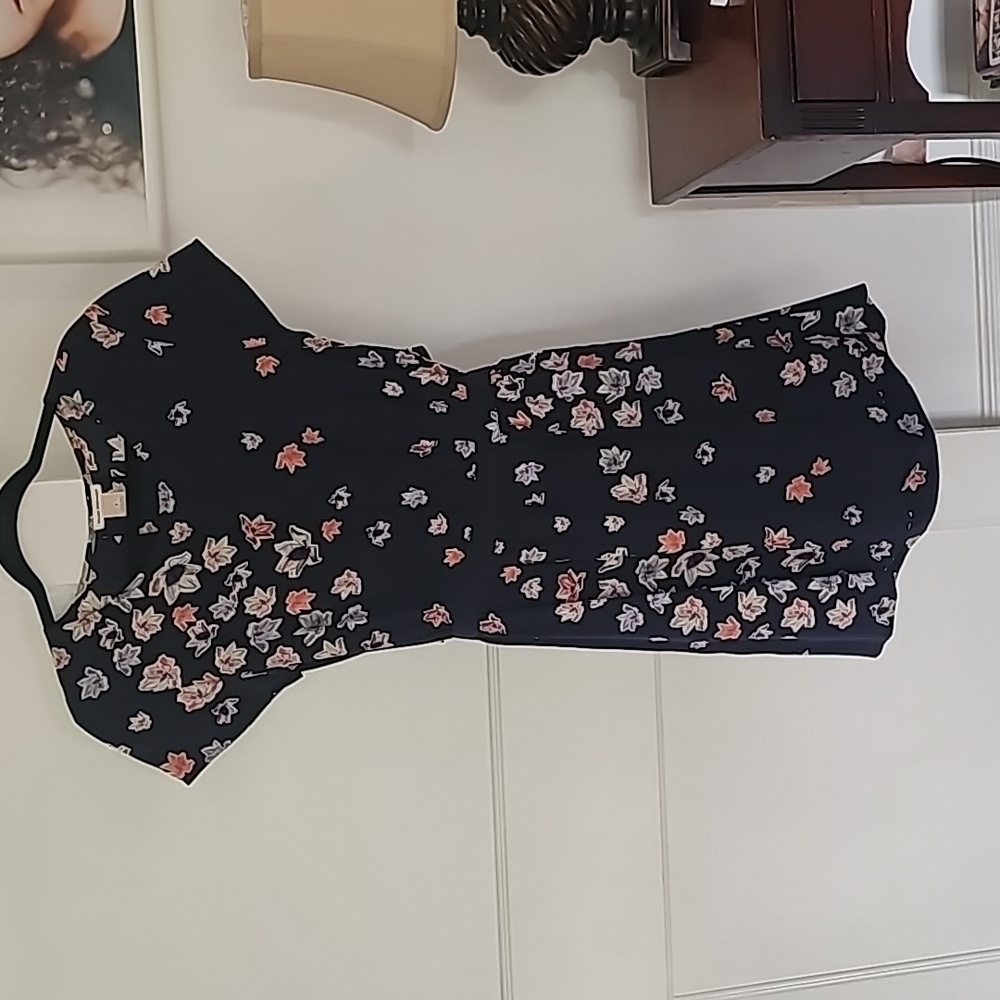 Club Monaco silk dress with pockets